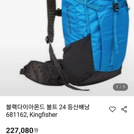 블랙다이아몬드 Bolt 24 Kingfisher (681162)