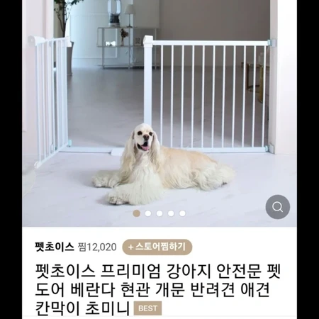 강아지 문 펫도어 안전휀스