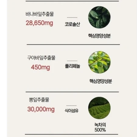 발효여주분말