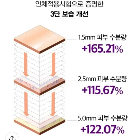 모공세럼