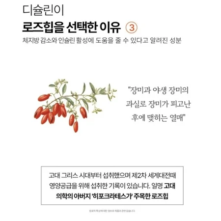 체질개선 다이어트