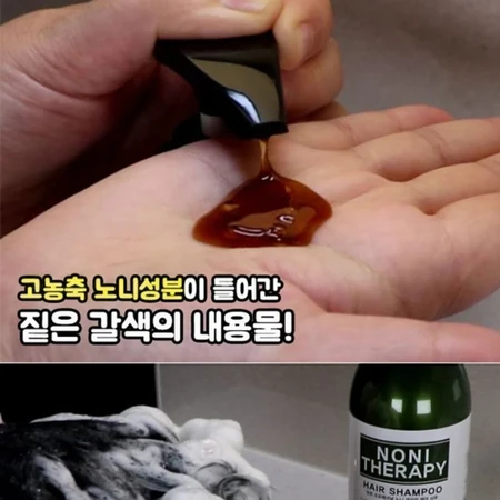 앙쥬 프로페셔널 노니 두피 테라피 샴푸 750ml 모근강화 건강한 모발