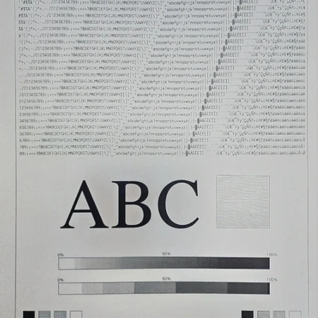 브라더 흑백레이저프린터(HL-L5100DN)