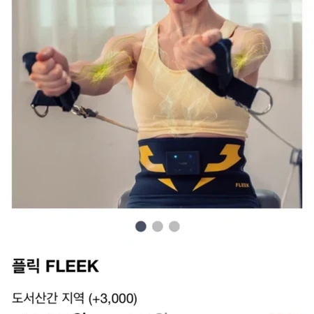 플리다이어트복대