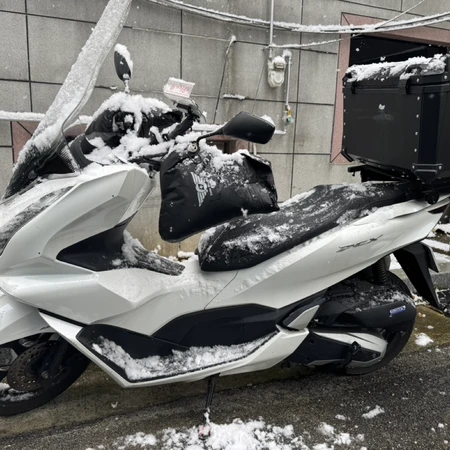 23년식 pcx