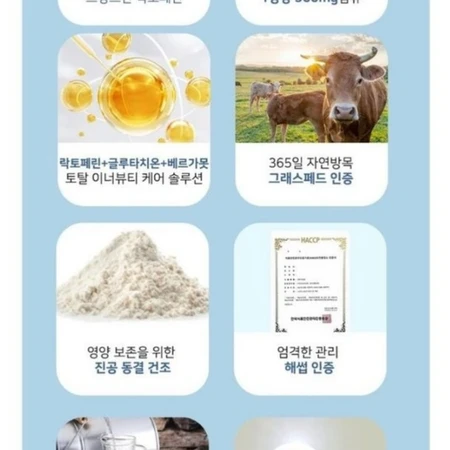 락토페린 글루타치온 베르가못