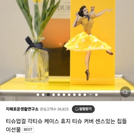 티슈업걸 티슈케이스