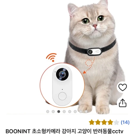 반려 목걸이캠