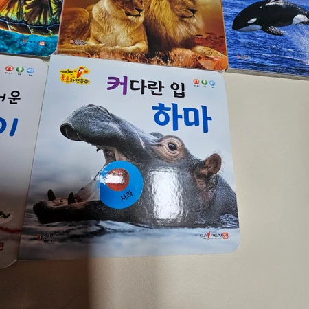 세이펜 통통자연동화