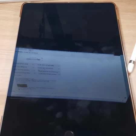 아이패드 프로 10.5 64GB WIFI 스페이스 그레이 팝니다