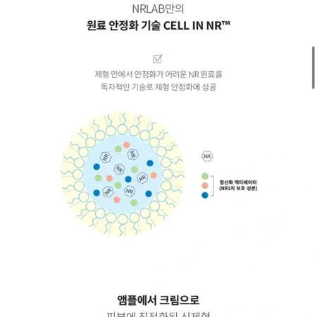 엔알랩 NRLAB 항산화크림 (조윤주크림)