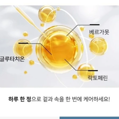 락토페린 글루타치온 베르가못